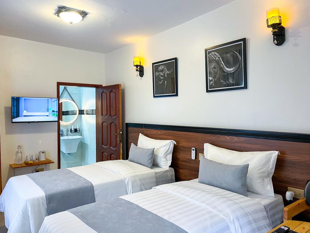 Deluxe Twin Room